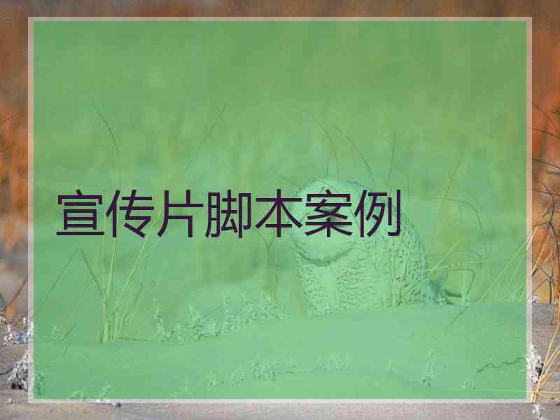 宣传片脚本案例