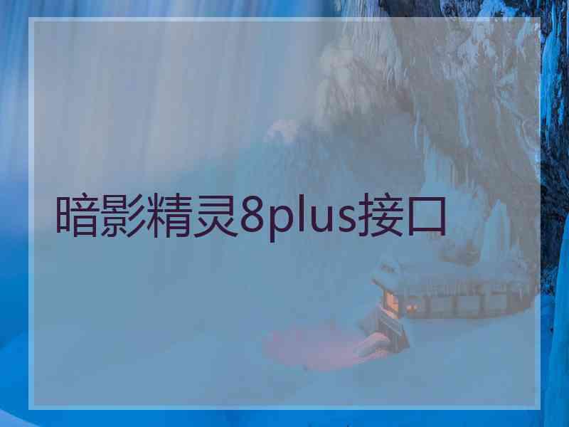 暗影精灵8plus接口