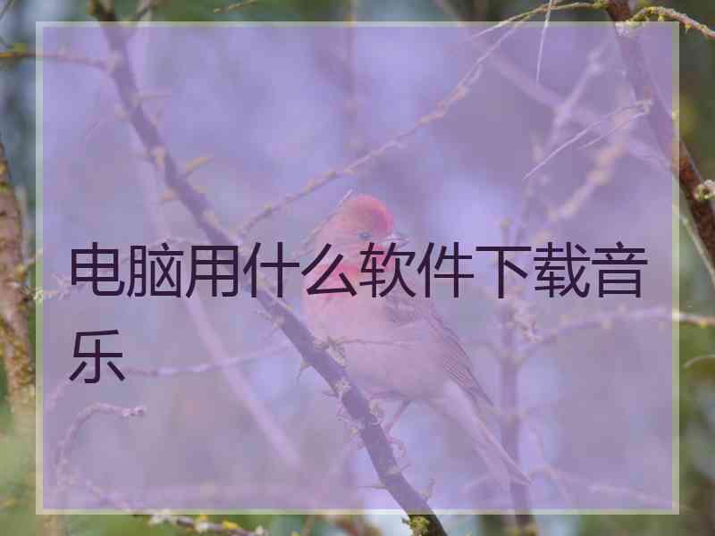 电脑用什么软件下载音乐