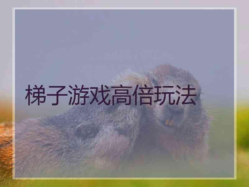 梯子游戏高倍玩法