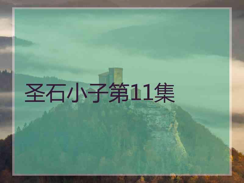 圣石小子第11集