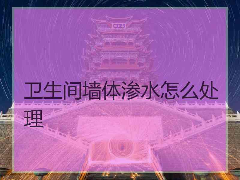 卫生间墙体渗水怎么处理