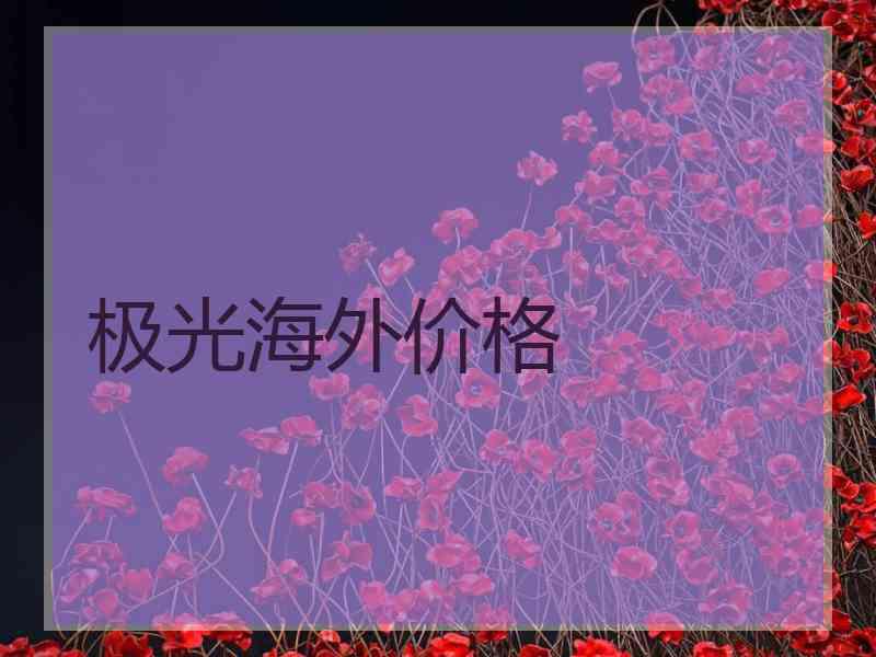 极光海外价格