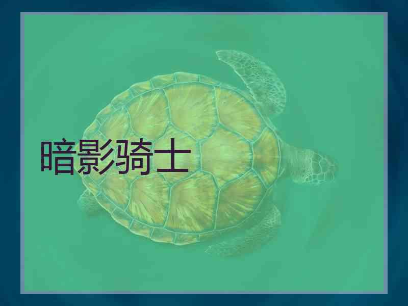 暗影骑士