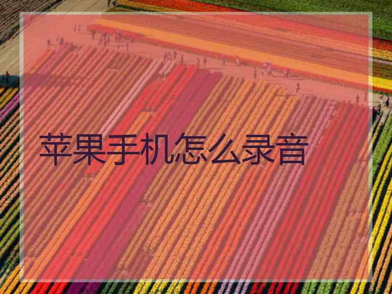 苹果手机怎么录音