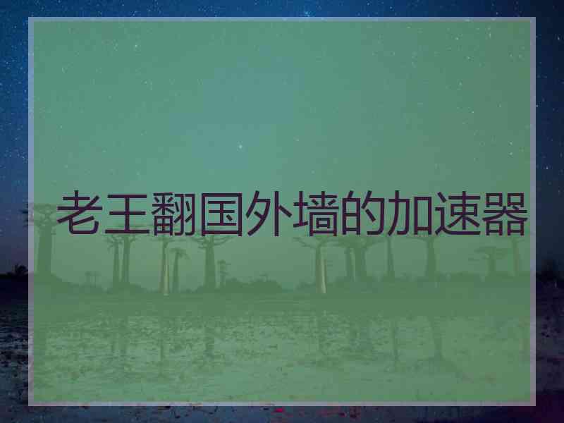 老王翻国外墙的加速器