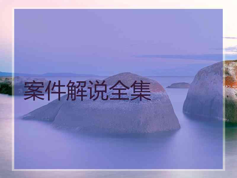 案件解说全集