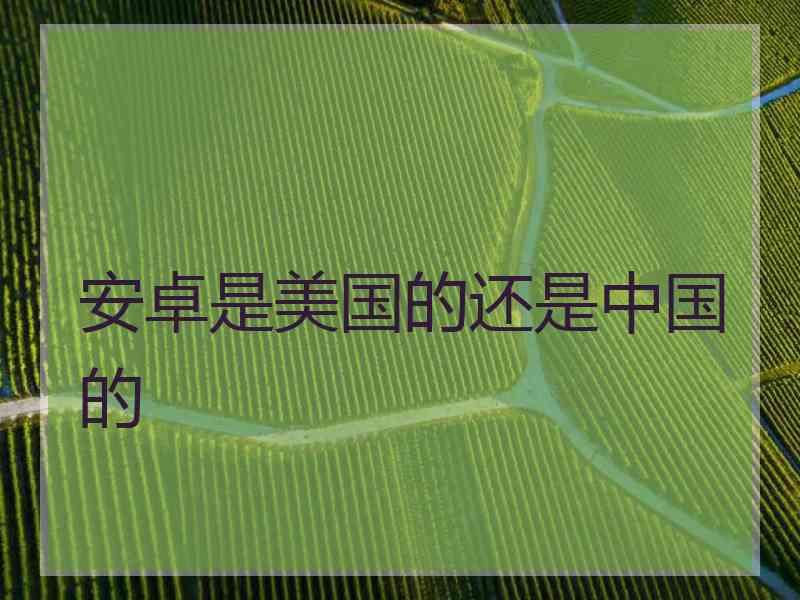 安卓是美国的还是中国的