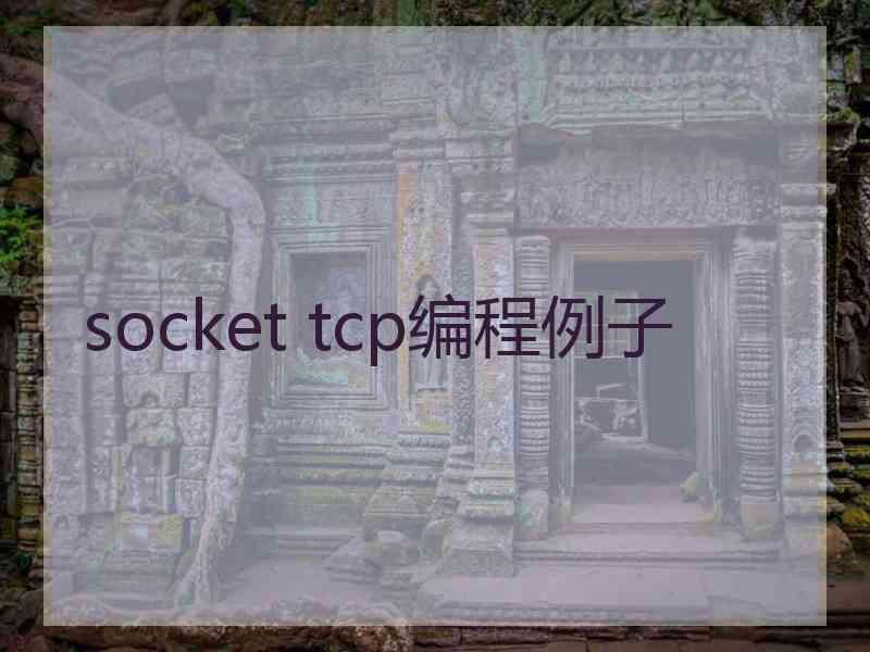 socket tcp编程例子