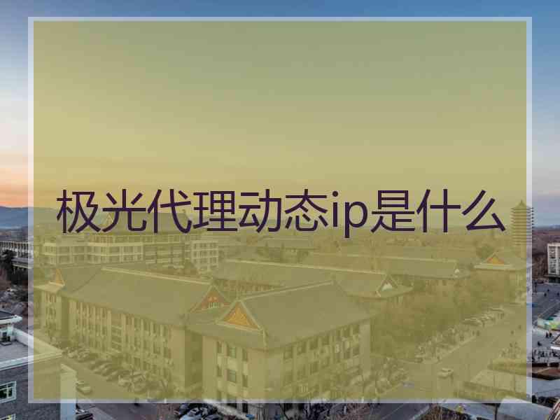 极光代理动态ip是什么