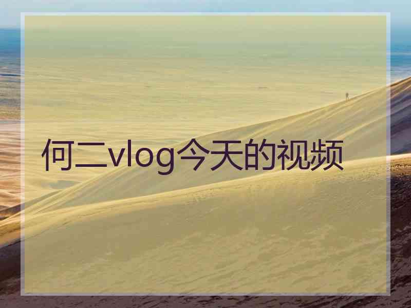 何二vlog今天的视频
