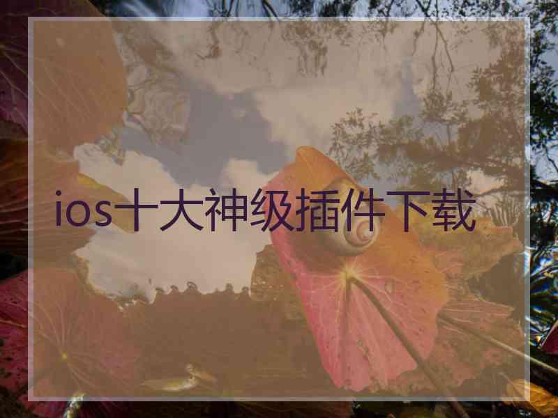 ios十大神级插件下载