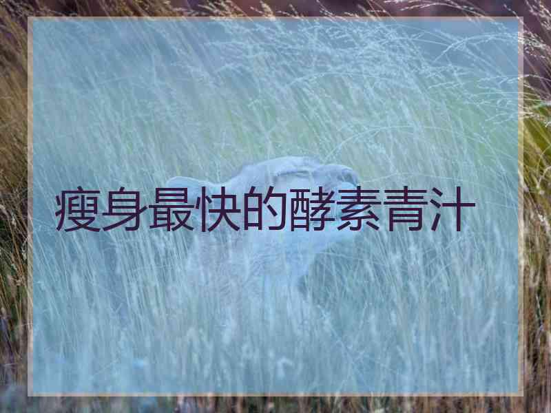 瘦身最快的酵素青汁