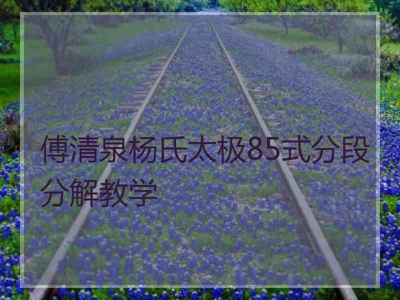 傅清泉杨氏太极85式分段分解教学