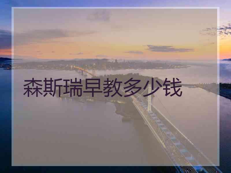 森斯瑞早教多少钱