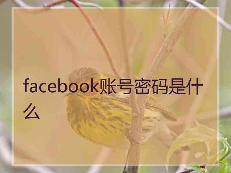 facebook账号密码是什么