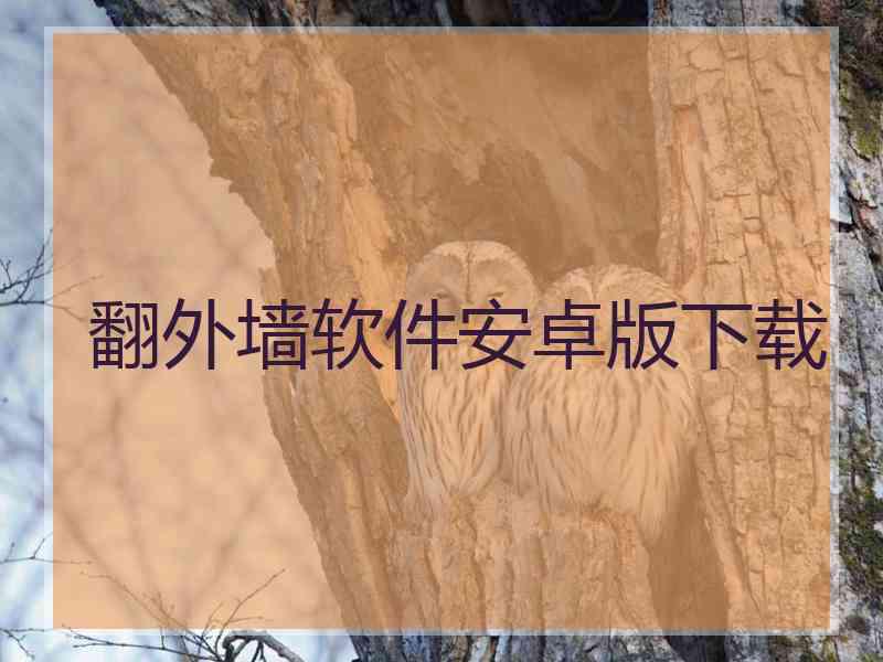 翻外墙软件安卓版下载