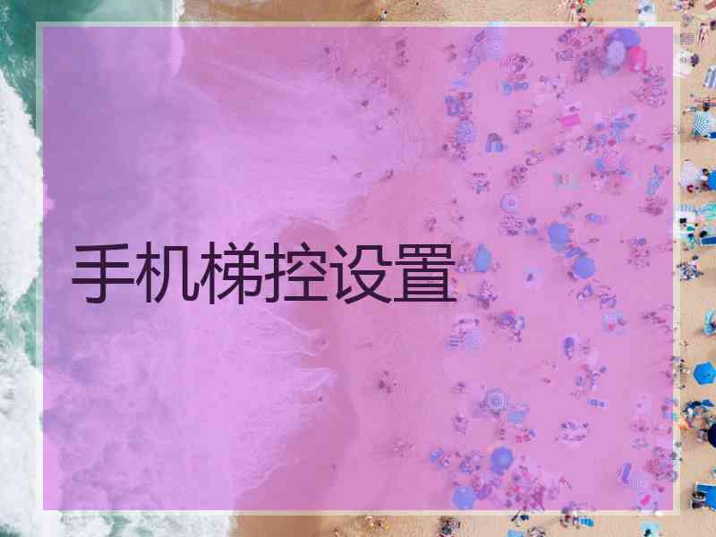 手机梯控设置