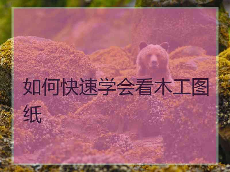 如何快速学会看木工图纸