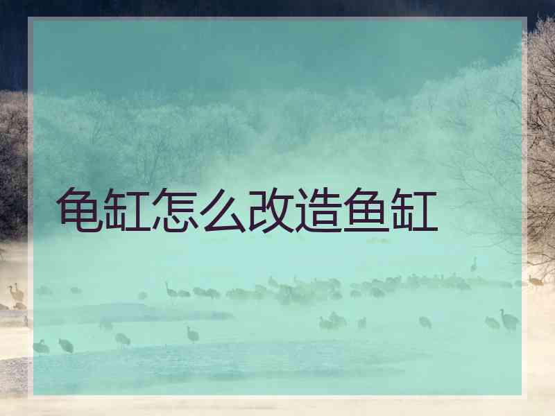 龟缸怎么改造鱼缸