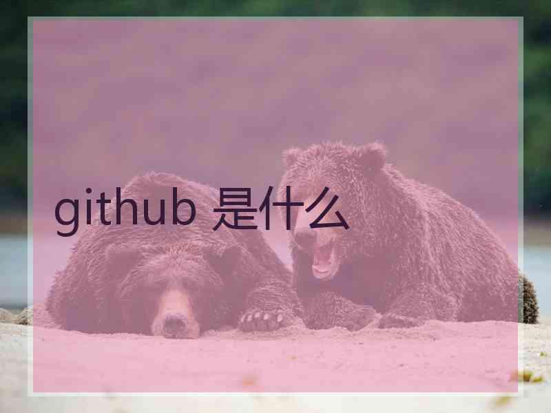 github 是什么