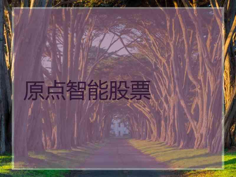 原点智能股票