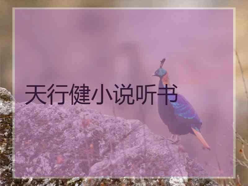 天行健小说听书