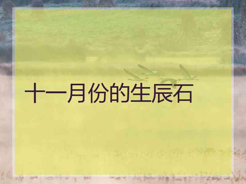 十一月份的生辰石