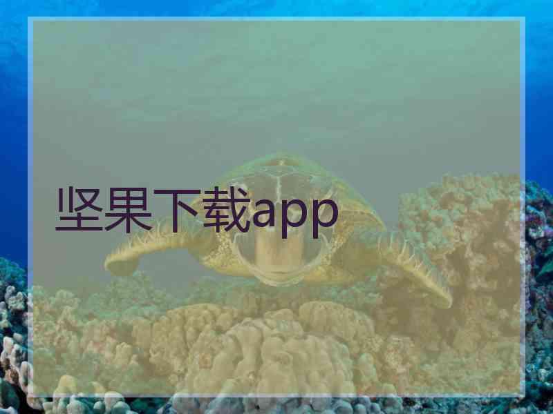 坚果下载app