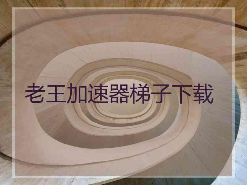 老王加速器梯子下载
