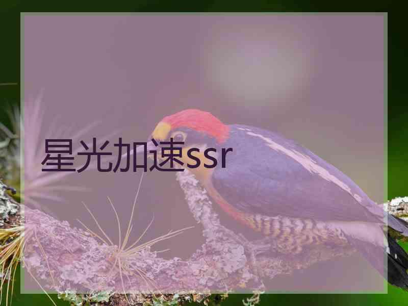 星光加速ssr
