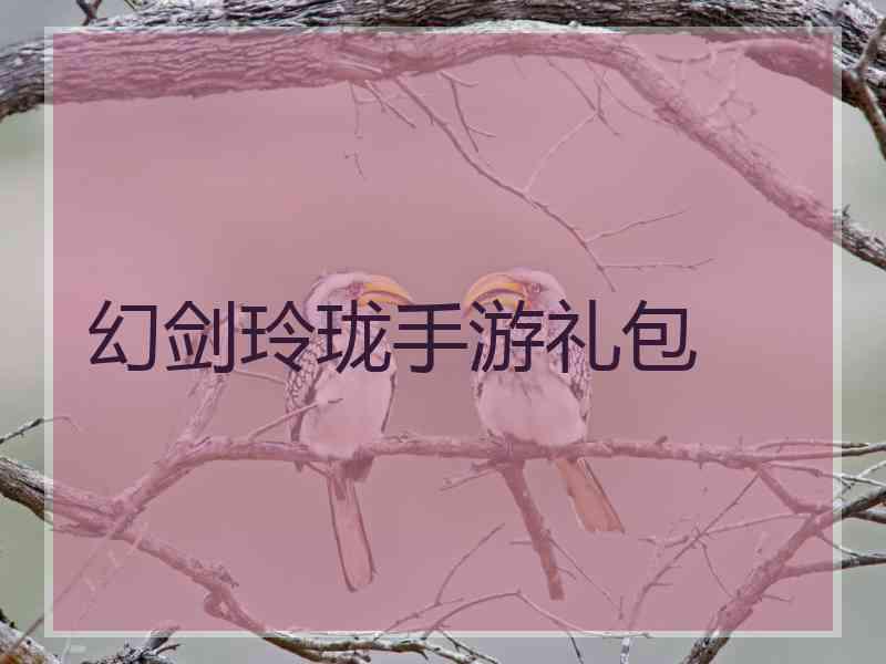 幻剑玲珑手游礼包