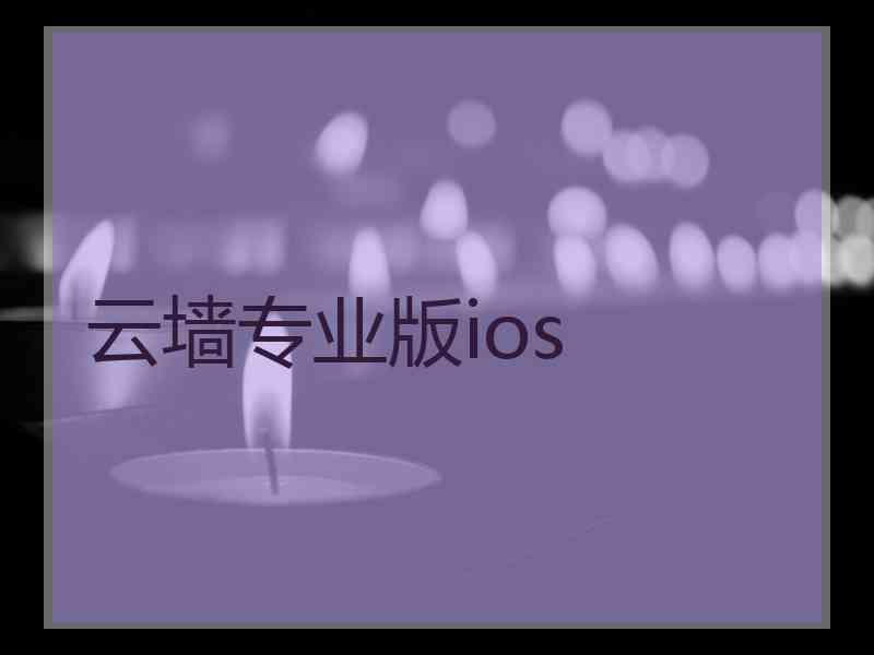 云墙专业版ios