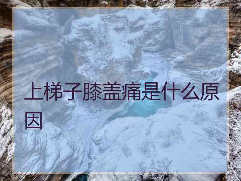 上梯子膝盖痛是什么原因