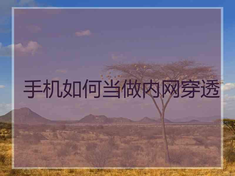 手机如何当做内网穿透