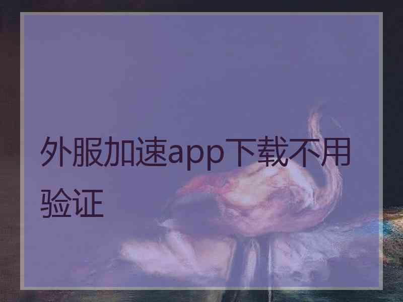 外服加速app下载不用验证
