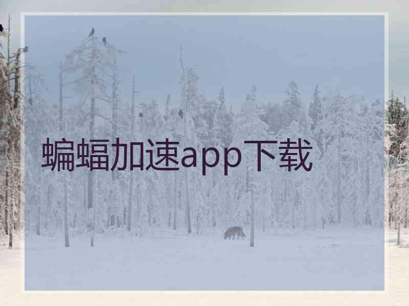 蝙蝠加速app下载