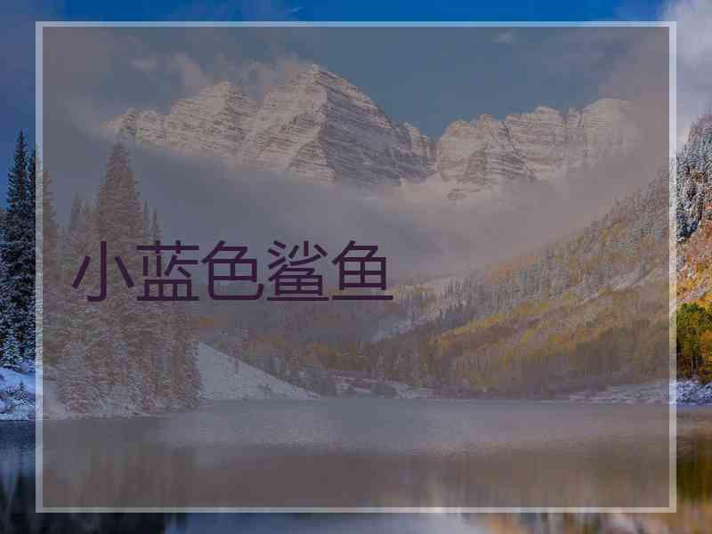 小蓝色鲨鱼