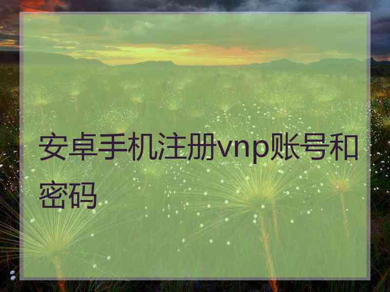 安卓手机注册vnp账号和密码