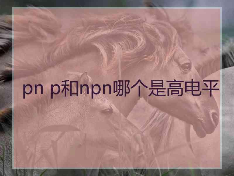 pn p和npn哪个是高电平