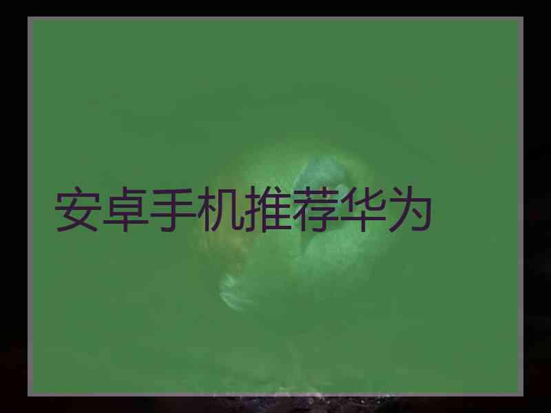 安卓手机推荐华为