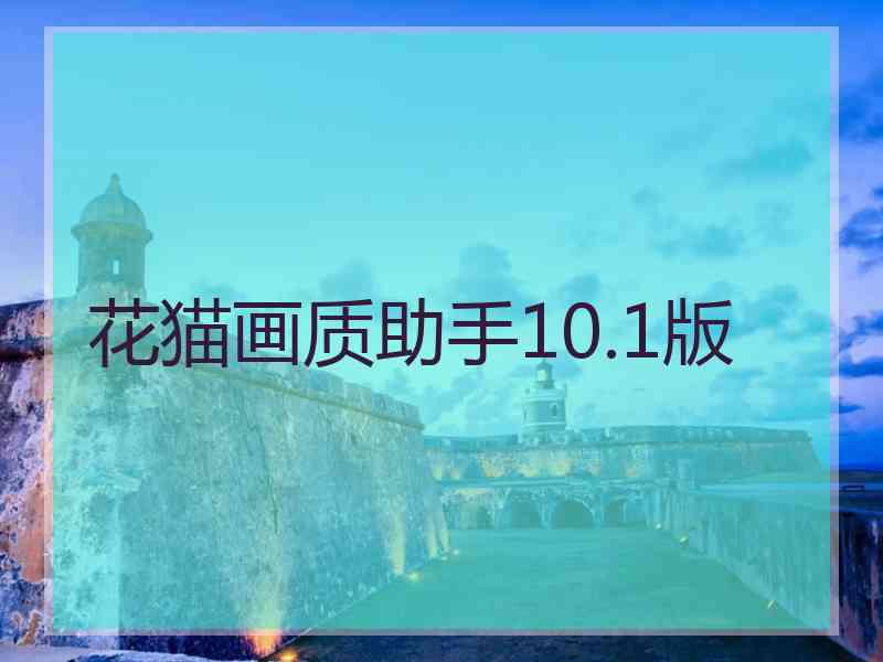 花猫画质助手10.1版