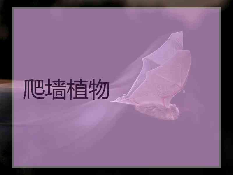 爬墙植物