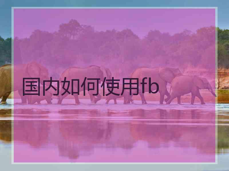 国内如何使用fb