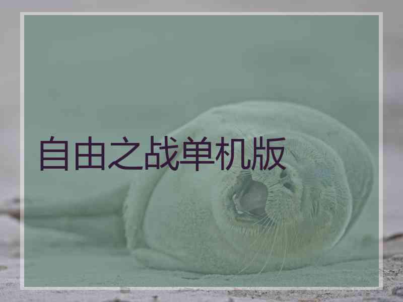 自由之战单机版