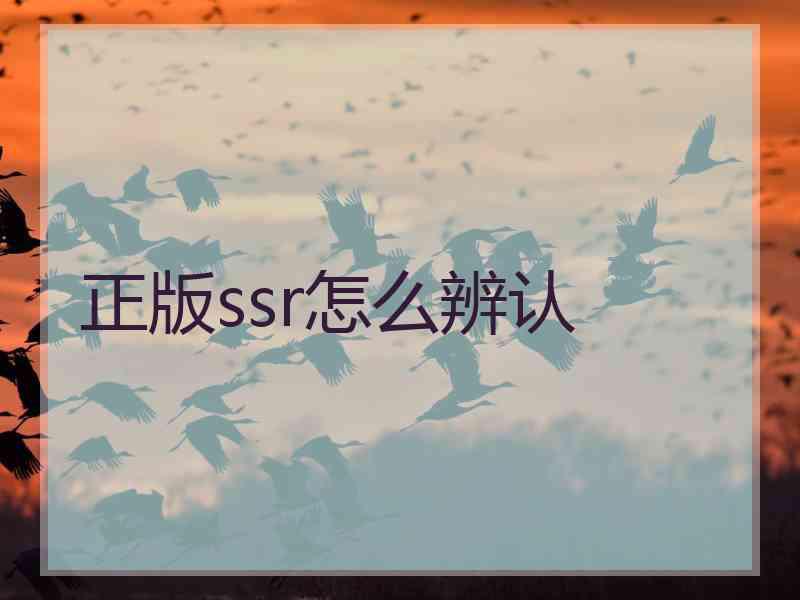 正版ssr怎么辨认