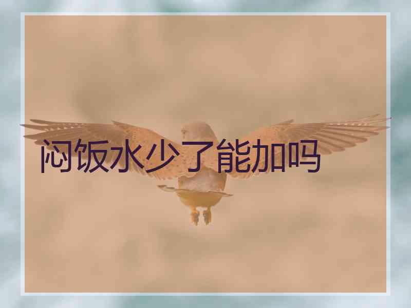 闷饭水少了能加吗