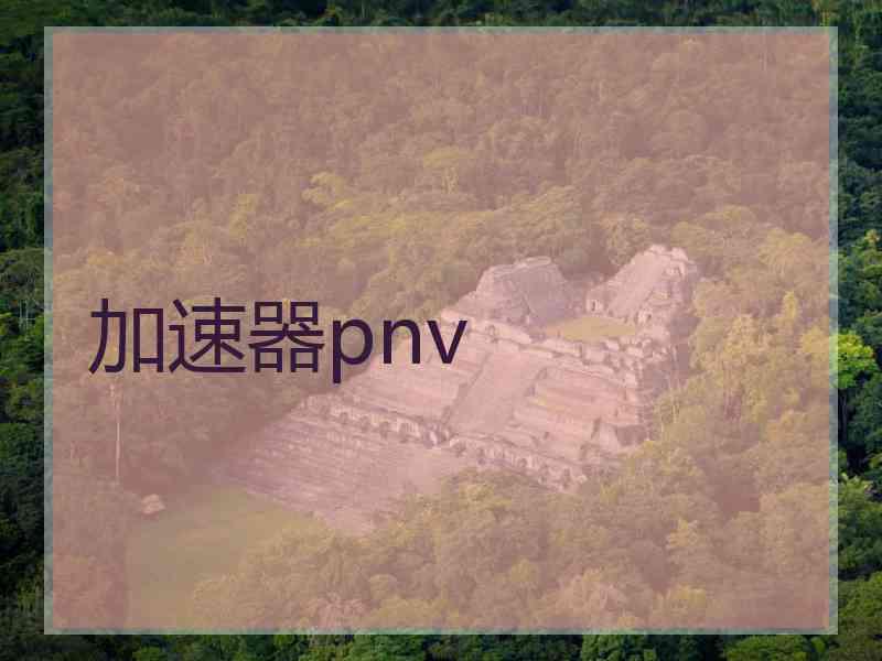 加速器pnv