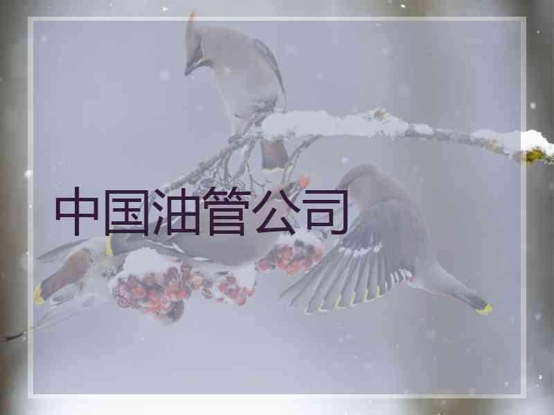 中国油管公司