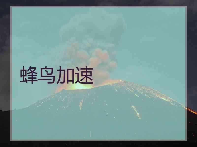 蜂鸟加速